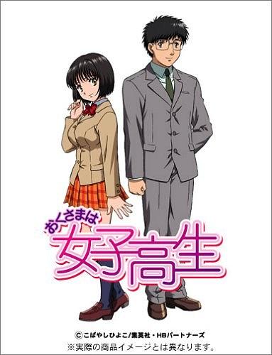 おくさまは女子高生‎ (2005)