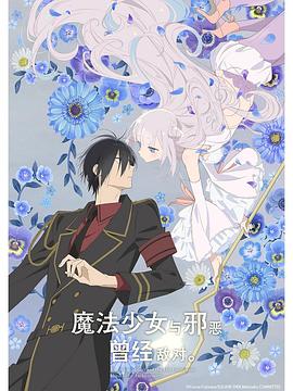 かつて魔法少女と悪は敵対していた。