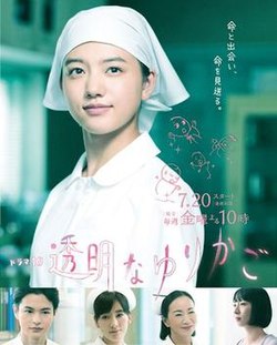 透明なゆりかご
